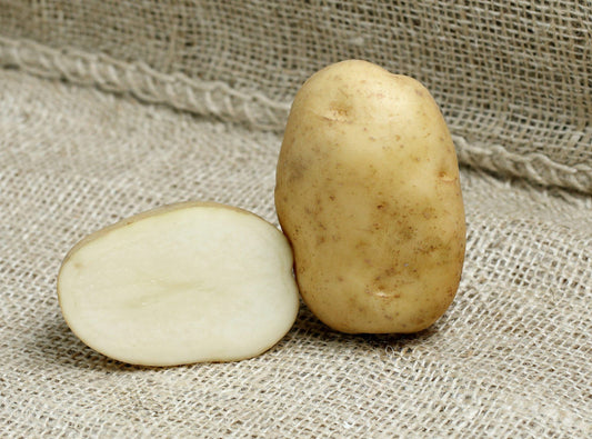 White giant