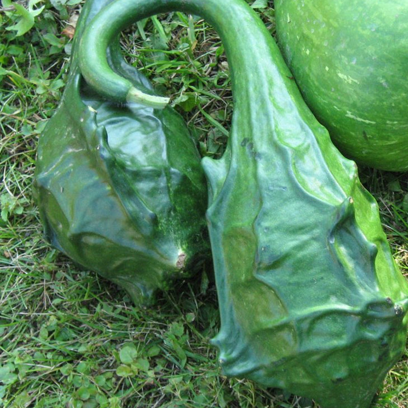 Caveman gourd
