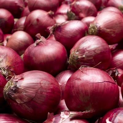 Red Burgundy Onion