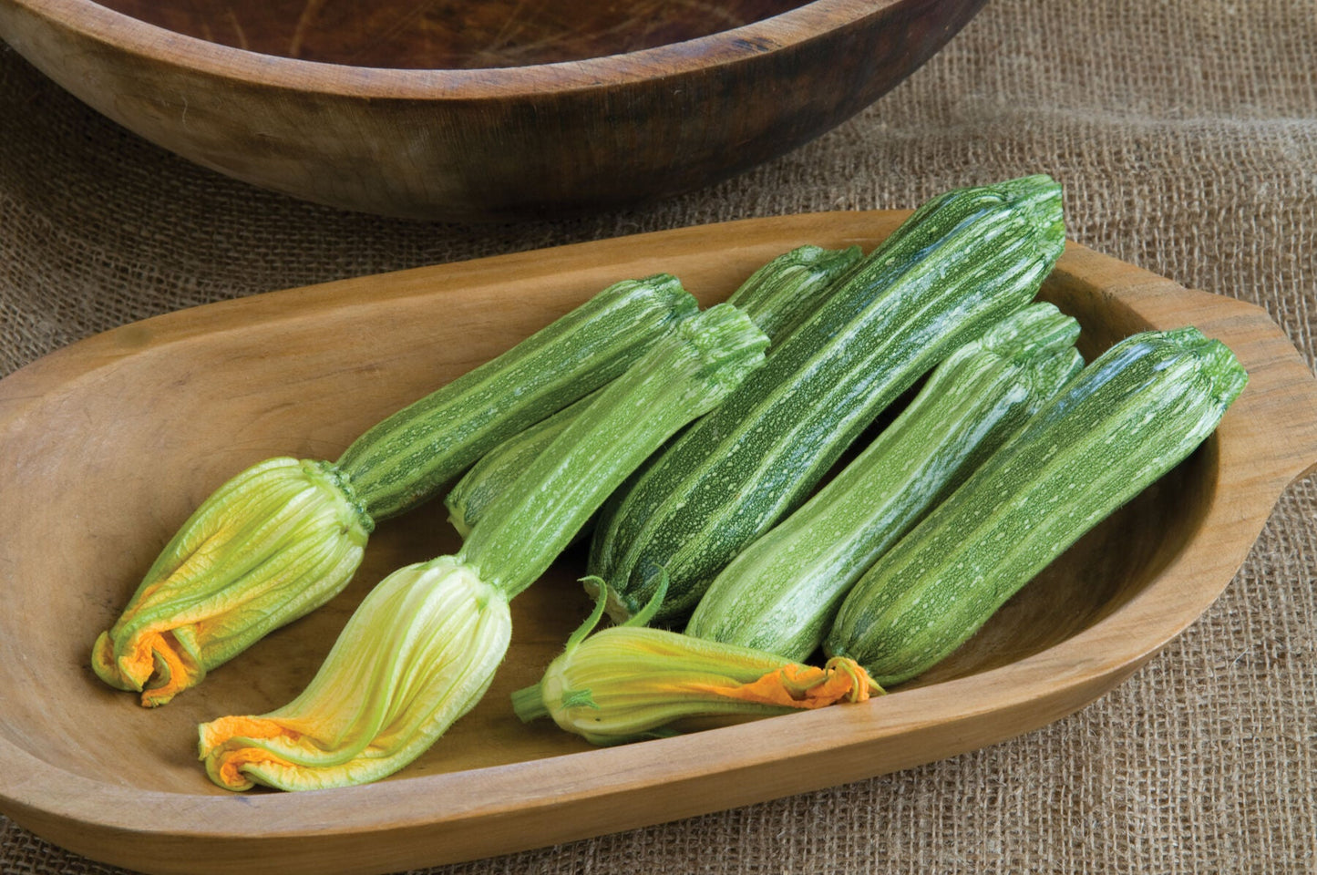 Genovese italian summer squash - Premium {PRODUCTsweet cornGenovese italian summer squash_TYPE} from Farm.hand.seeds - Just $2.69! Shop now at Farm.hand.seeds