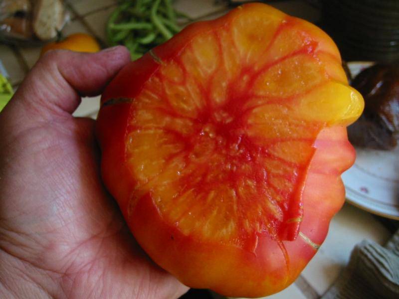 farm hand seeds Striped German Heirloom Tomato