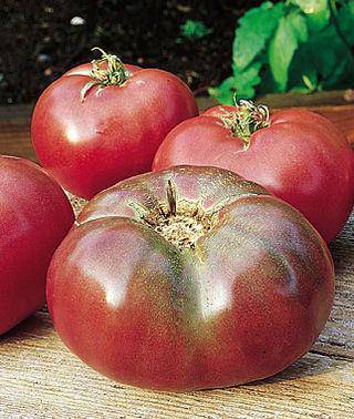 farm hand seeds Cherokee Purple Heirloom Tomato