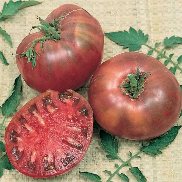 farm hand seeds Cherokee Purple Heirloom Tomato