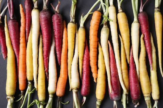 Carrot assortment