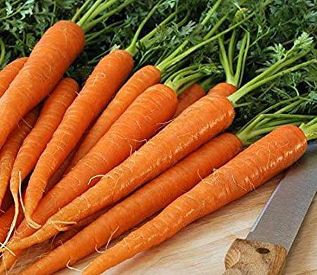 Farm.hand.seeds Tendersweet Carrot