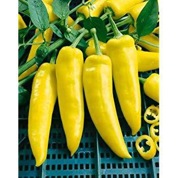 farm hand seeds Hungarian Yellow Wax Hot Pepper