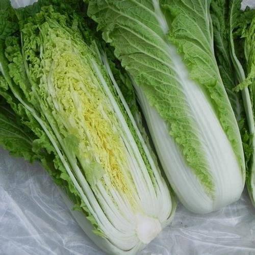 farm hand seeds Michihili Chinese Cabbage