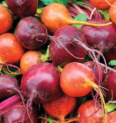 Farm.hand.seeds Premium Beet Mix