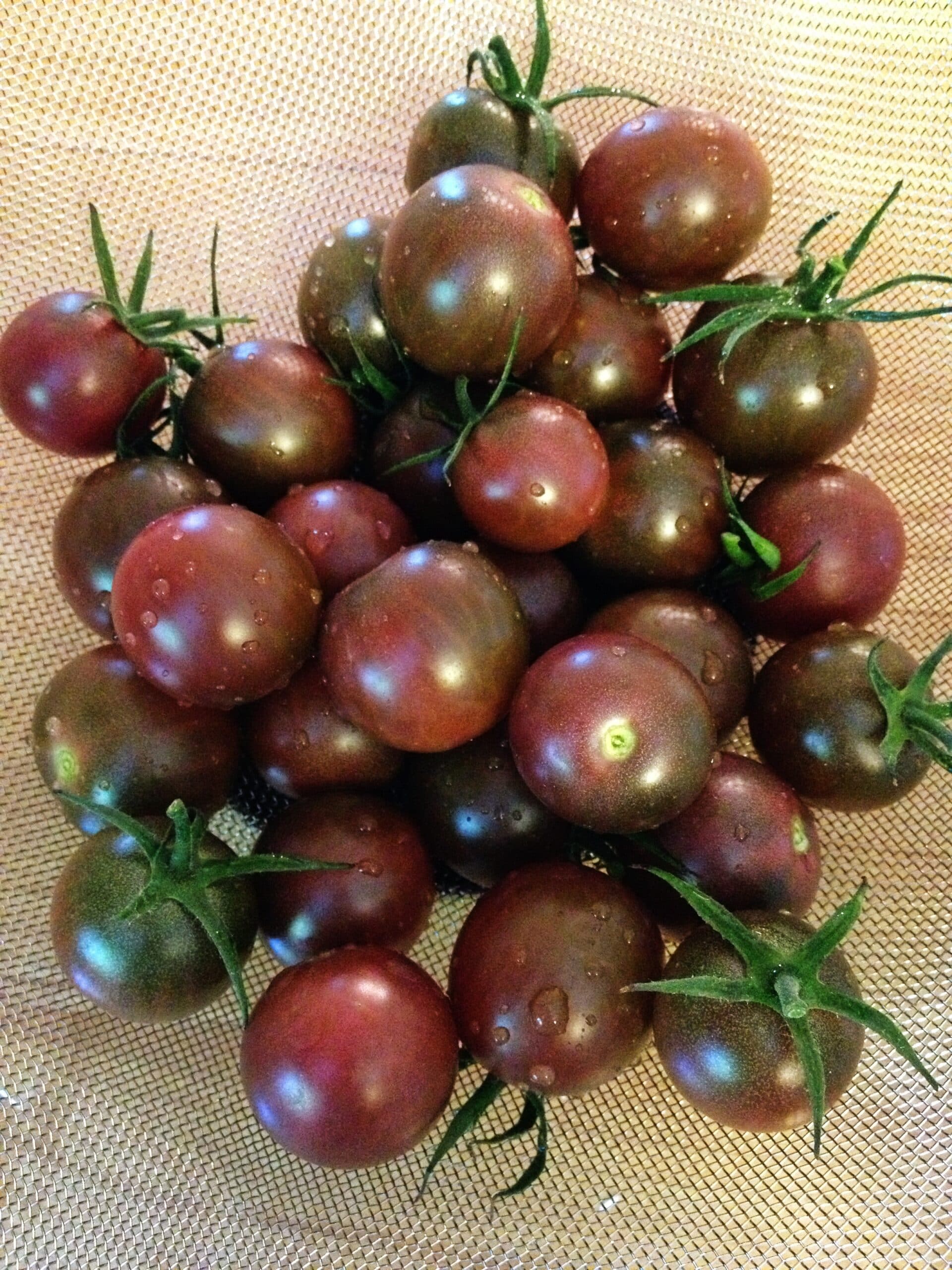 farm hand seeds Chocolate Cherry Tomato