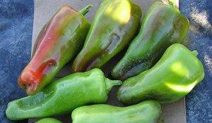 Farm.hand.seeds Cubanelle Sweet Pepper