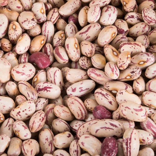 Cranberry beans