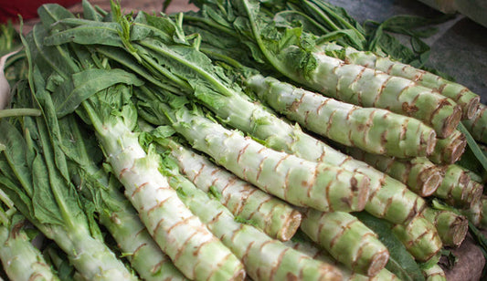 Celtuce