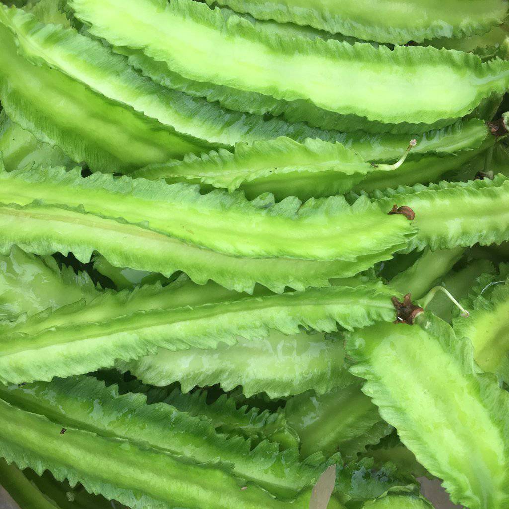 farm hand seeds Pink Plume Celery 