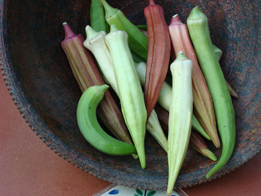 Rainbow fiesta okra