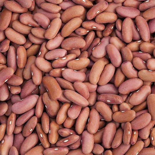 Light red kidney bean seeds