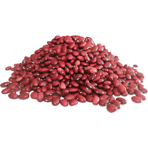 Red bush dry beans - Premium {PRODUCTsweet cornRed bush dry beans_TYPE} from Farm.hand.seeds - Just $2.69! Shop now at Farm.hand.seeds