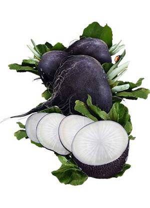 Farm.hand.seeds Black Spanish Radish