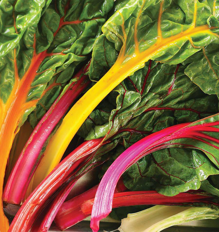Farm.hand.seeds Rainbow Mix