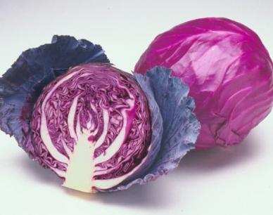 Red Acre Cabbage