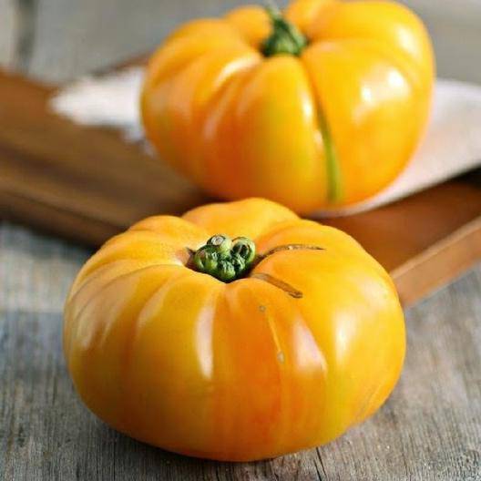 farm hand seeds Yellow Brandywine Heirloom Tomato