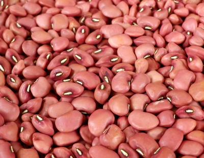 beyond organic seeds Pink Plume Celery 