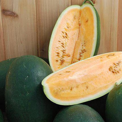 Farm.hand.seeds Sweet Siberian Heirloom Watermelon