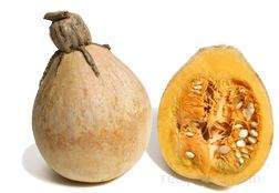 Farm.hand.seeds Thelma Sweet Potatoes