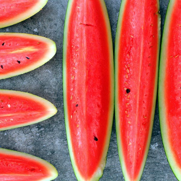 Farm.hand.seeds Charleston grey watermelon