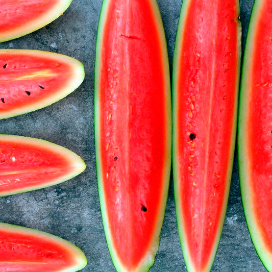 Farm.hand.seeds Charleston grey watermelon