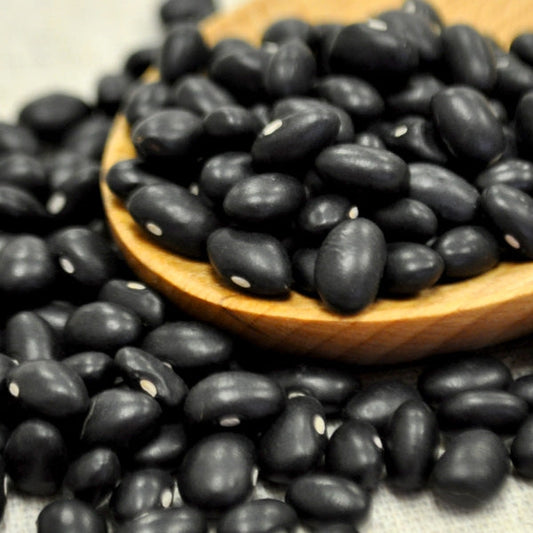 Black turtle bean