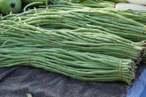 Yard Long Green Beans - Premium {PRODUCTsweet cornYard Long Green Beans_TYPE} from Farm.hand.seeds - Just $2.69! Shop now at Farm.hand.seeds