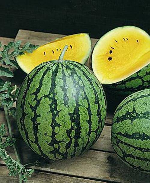 Yellow Crimson Sweet Watermelon