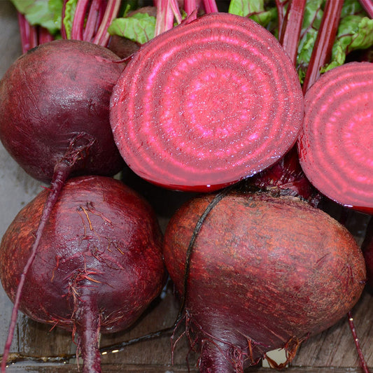 Crosby's egyptian beet