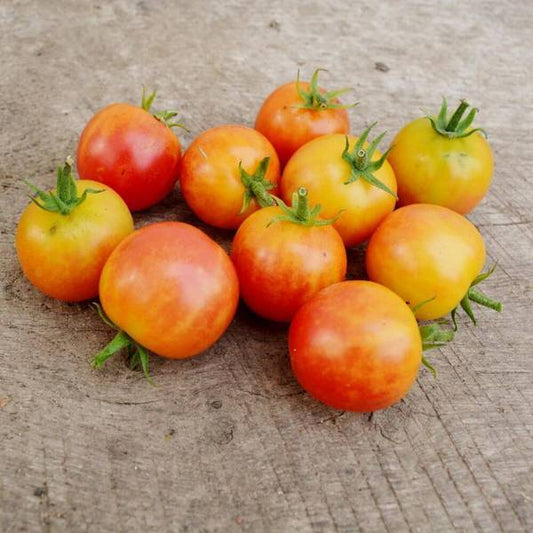 Bi-color Heirloom Cherry Tomato