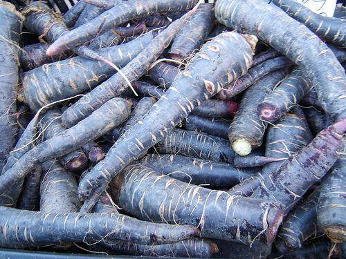 Black Nebula Carrot