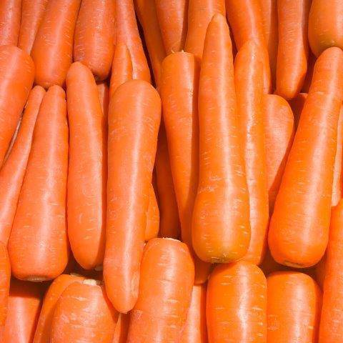 Farm hand  seeds Brilliance Carrot