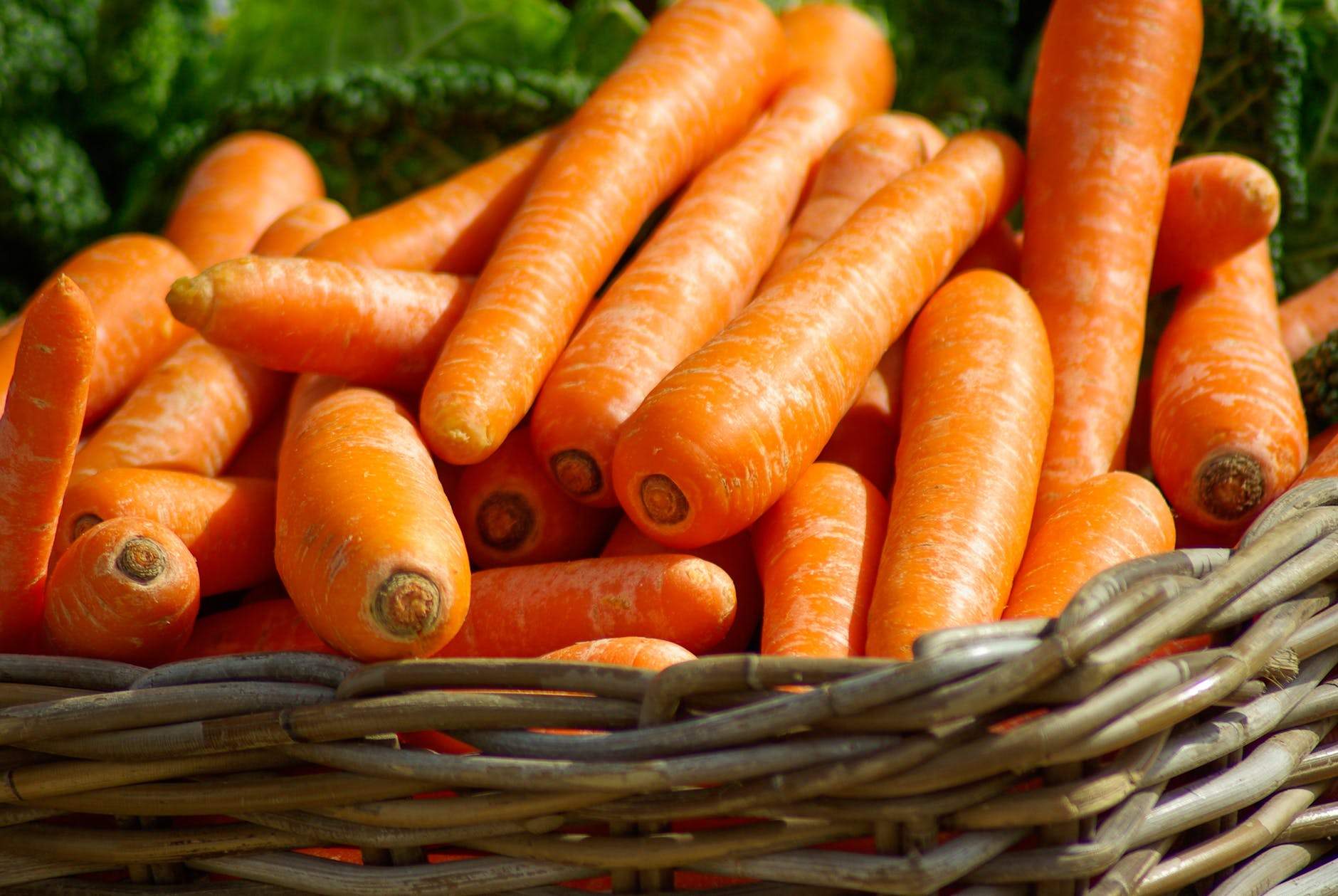 Farm hand  seeds Brilliance Carrot