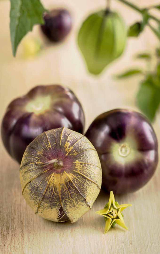 Farm Hand Seeds Purple Tomatillo
