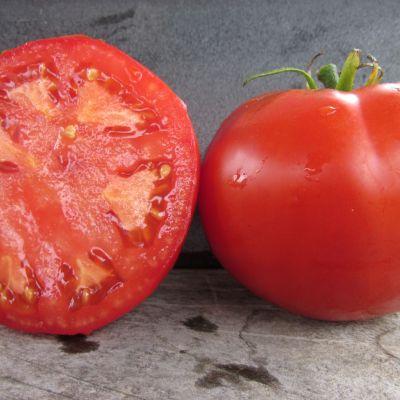 farm hand seeds Druzba bulgarian heirloom tomato