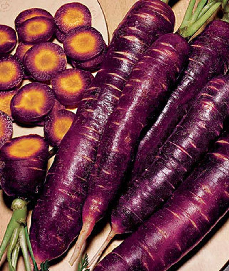 Farm.hand.seeds Cosmic Purple Carrot