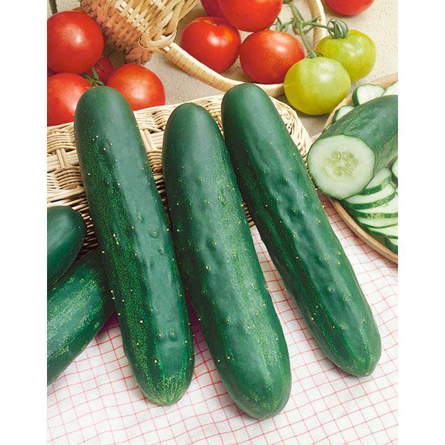 Farm.hand.seeds Long Green Improved Heirloom Cucumber