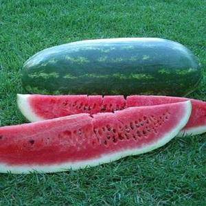 Farm.hand.seeds Congo Watermelon