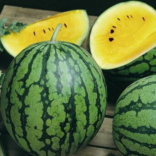 Farm.hand.seeds Yellow Petite Watermelon