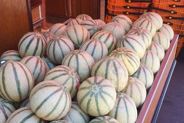 Farm Hand Seeds Charentais Melon