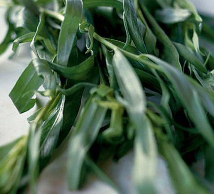 Farm.hand.seeds Tarragon
