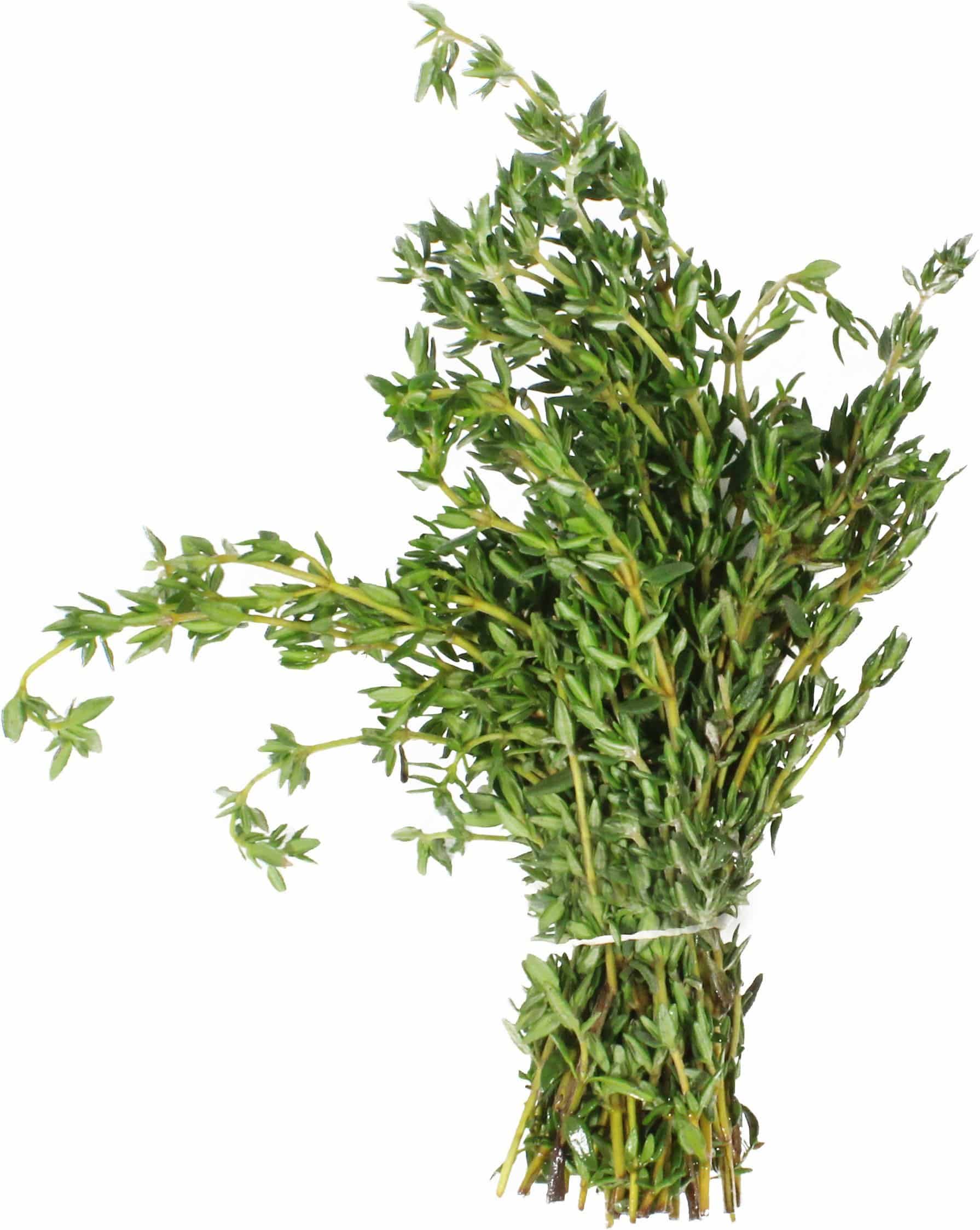 Farm.hand.seeds Thyme