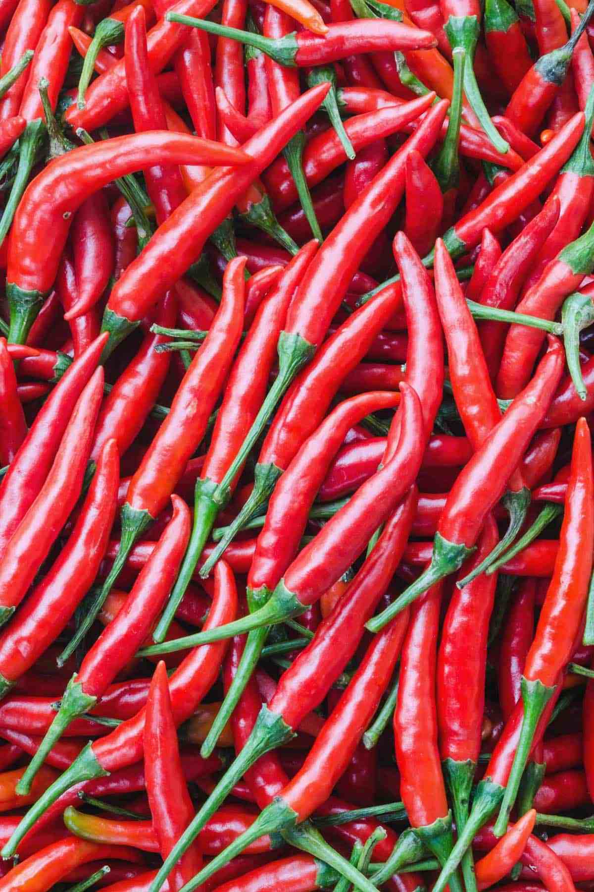 Farm.hand.seeds Red Cayenne Pepper