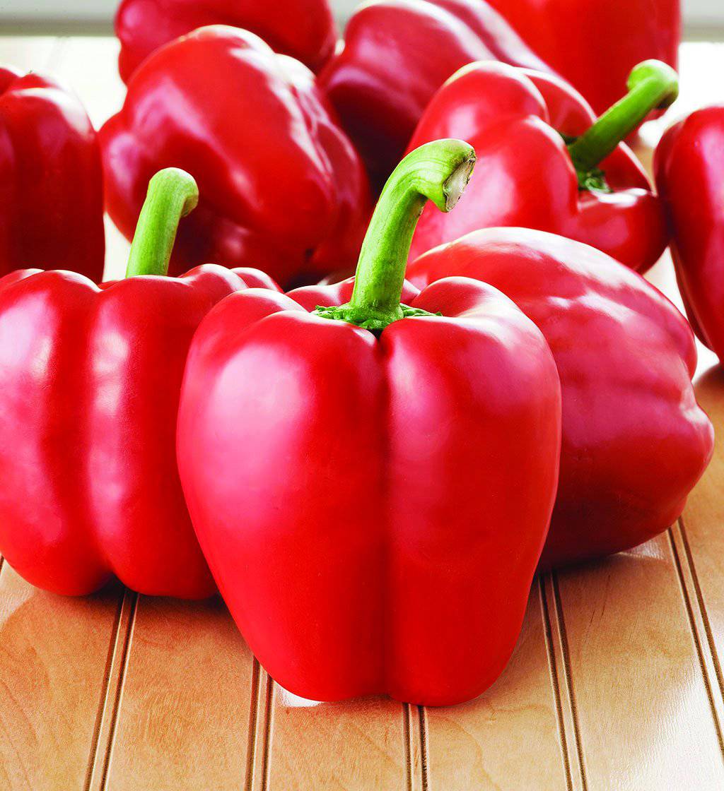 Farm.hand.seeds Big Red Sweet Pepper