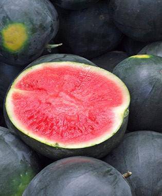 Farm.hand.seeds Black Diamond Watermelon