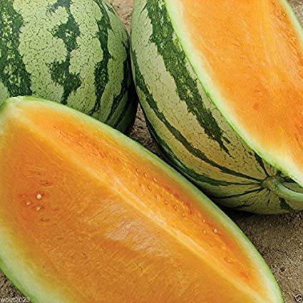 Farm.hand.seeds Crimson Sweet Orange Watermelon